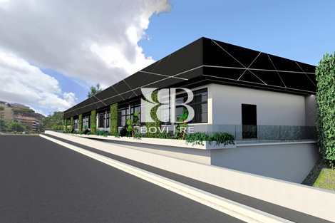 Appartamenti in vendita, Camilluccia